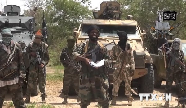 Mỹ cảnh báo phần tử cực đoan đe dọa sự phát triển của châu Phi ảnh 1