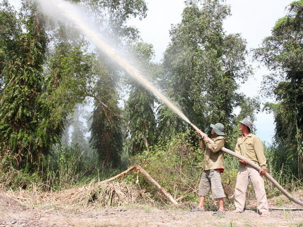 Cà Mau tạm đóng cửa rừng tràm U Minh Hạ đề phòng cháy rừng ảnh 1