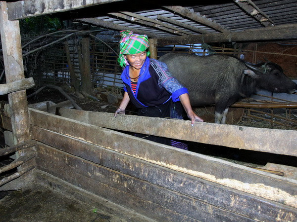 Không khí lạnh tăng cường, Đông Bắc Bộ có rét đậm và rét hại ảnh 1