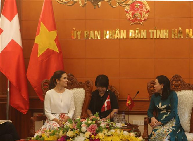 Hà Nam và Đan Mạch thúc đẩy hợp tác về sản xuất sản phẩm xanh ảnh 1