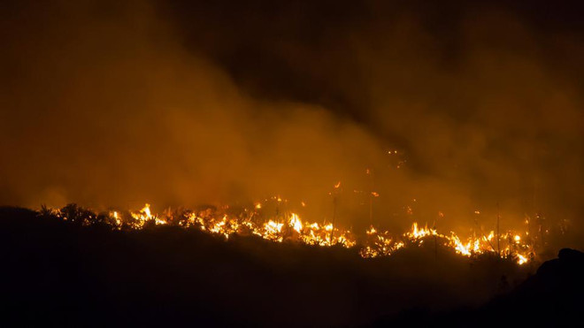 Cháy rừng ở Gran Canaria. (Nguồn: Reuters) Tây Ban Nha sơ tán dân tại Gran Canaria do lại xảy ra cháy rừng ảnh 1
