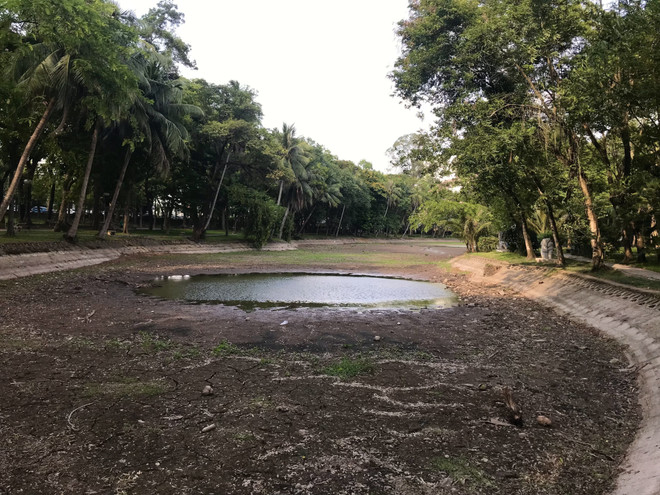 Nguyên nhân khiến hồ nước trong công viên Bách Thảo cạn trơ đáy ảnh 3
