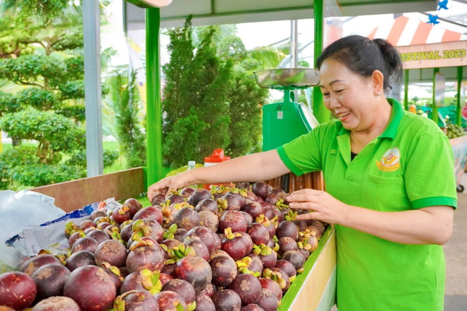 Tưng bừng Lễ hội trái cây Nam Bộ tại Thành phố Hồ Chí Minh ảnh 3