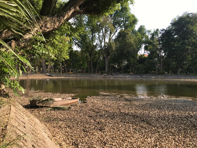 Nguyên nhân khiến hồ nước trong công viên Bách Thảo cạn trơ đáy ảnh 1