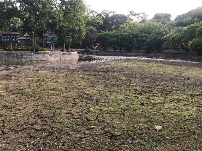 Nguyên nhân khiến hồ nước trong công viên Bách Thảo cạn trơ đáy ảnh 2