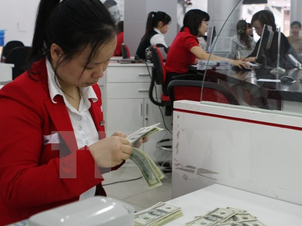 Ảnh minh họa. (Nguồn: TTXVN) Sự kiện trong nước 14-20/11: "Giấy thông hành" cho gỗ Việt Nam vào EU ảnh 3