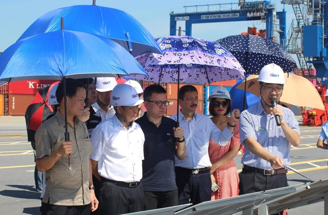 Thăm ‘đảo cây Trường Sa’ và công trình ‘vượt thời đại’ ở Hải Phòng ảnh 4