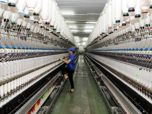 Việt Nam là "điểm giao thoa“ quan trọng của các hiệp định thương mại ảnh 1