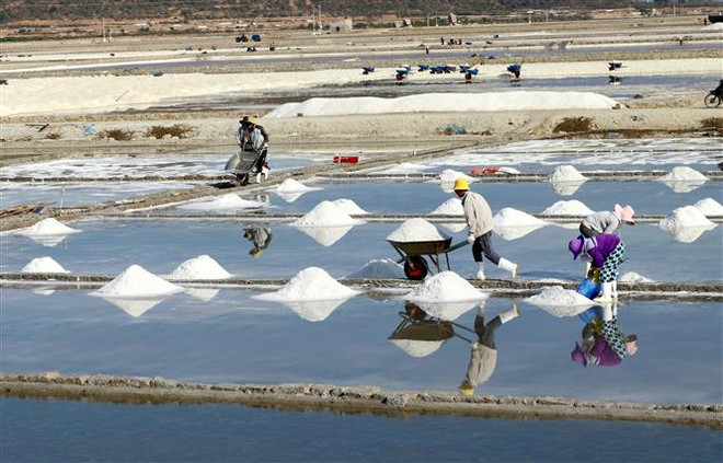 Ninh Thuận đổi hướng sản xuất muối hướng đến xuất khẩu ảnh 1