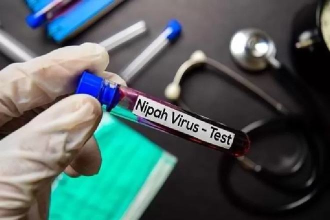 Bộ Y tế Indonesia kêu gọi cảnh giác cao độ đối với virus Nipah ảnh 1