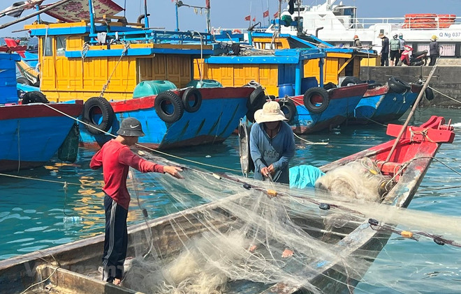 "Thẻ vàng" IUU: Giải quyết các thiếu sót để đón Đoàn thanh tra EC ảnh 1