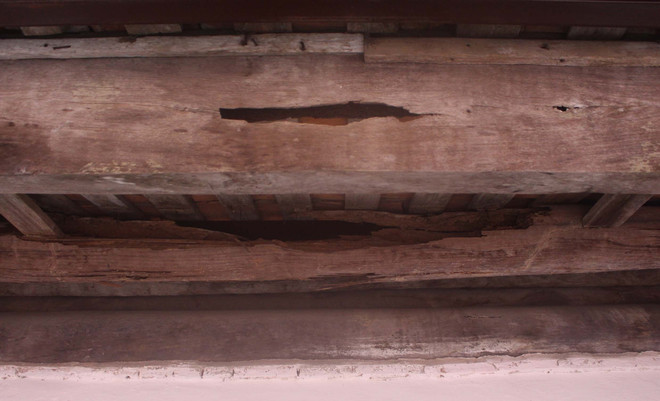 Thanh Hóa: Nhiều ngôi đình cổ xuống cấp nghiêm trọng chờ 'ứng cứu' ảnh 5