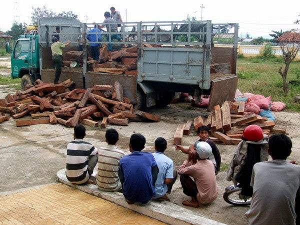 Quảng Trị bắt hai vụ vận chuyển gần 3 tấn gỗ trắc ảnh 1