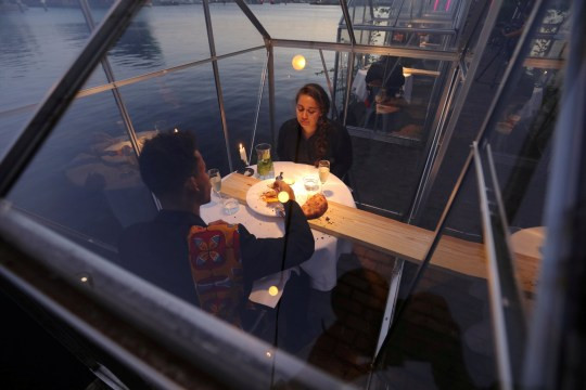 Nhà hàng Hà Lan cho khách vào nhà kính để đảm bảo giãn cách xã hội ảnh 2