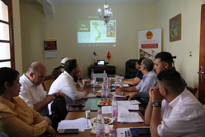 Hội nghị giao thương trực tiếp và trực tuyến Việt Nam-Algeria ảnh 1