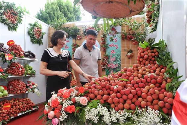 Du lịch Lục Ngạn mùa vải chín: Quảng bá đưa thương hiệu vải bay xa ảnh 2