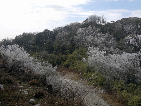 Bắc Bộ tiếp tục rét đậm, vùng núi cao khả năng vẫn có băng giá ảnh 1