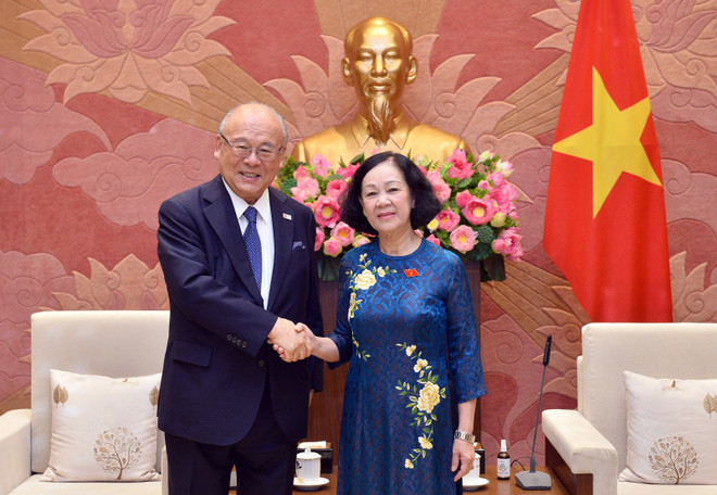 Trưởng Ban Tổ chức Trung ương, Chủ tịch Nhóm Nghị sỹ hữu nghị Việt Nam-Nhật Bản Trương Thị Mai tiếp Cố vấn đặc biệt Liên minh Nghị sỹ hữu nghị Nhật Bản-Việt Nam Takebe Tsutomu. (Nguồn: daibieunhandan) Thúc đẩy hợp tác giao lưu nghị sỹ hữu nghị Việt Nam-Nhật Bản ảnh 1