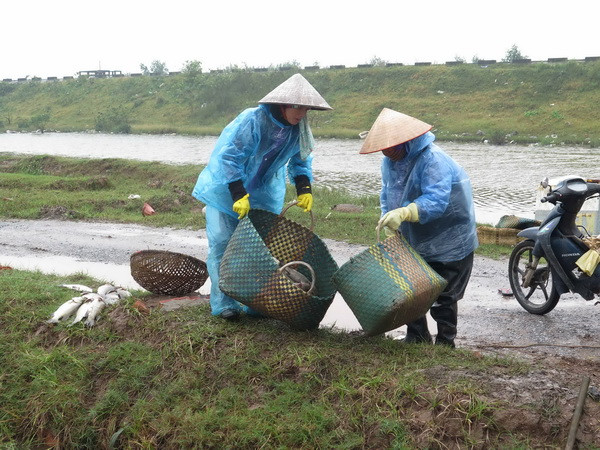 Nhiệt độ ban đêm ở Bắc bộ giảm sâu, vùng núi cao dưới 8 độ C ảnh 1