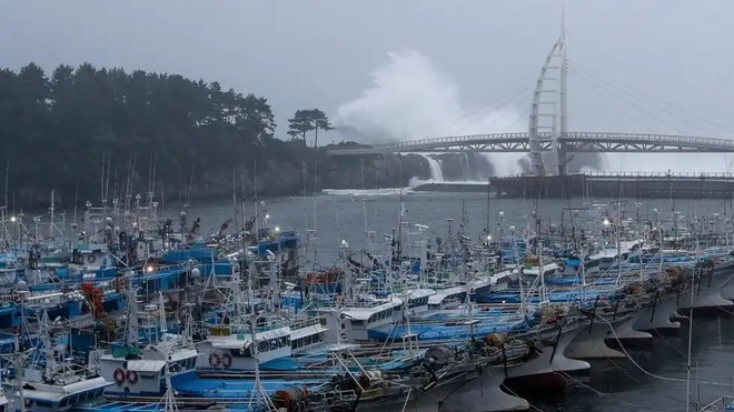 Nhật Bản và Hàn Quốc sẵn sàng ứng phó với siêu bão Nanmadol ảnh 1