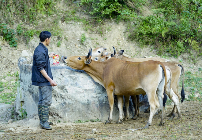 Trung Quốc sẵn sàng hợp tác với Việt Nam xóa đói giảm nghèo ảnh 1