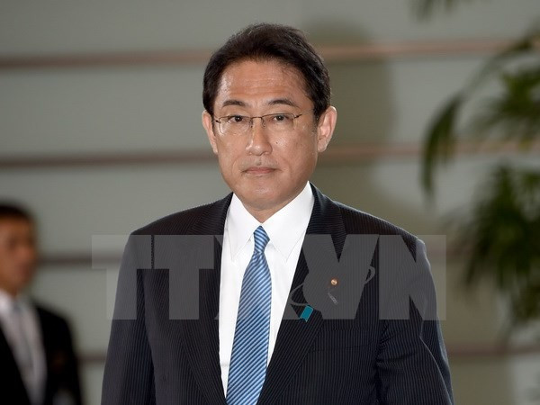 Nhật Bản-EU dự kiến sẽ ký Hiệp định thương mại tự do vào năm 2017 ảnh 1