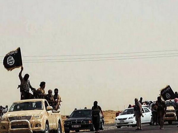 Việt Nam quan ngại trước tình trạng bạo lực gia tăng tại Iraq ảnh 1