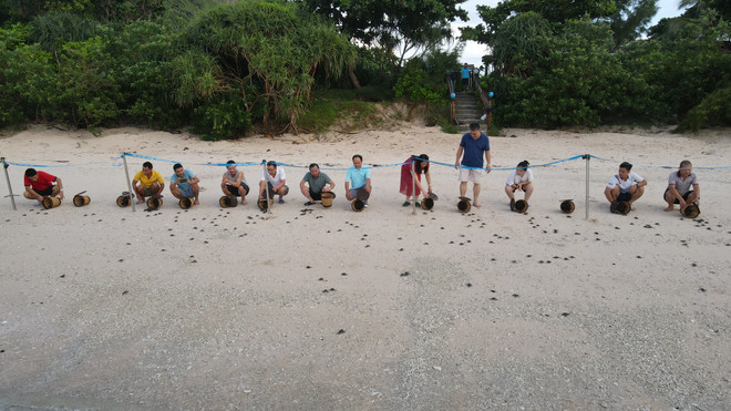 Bà Rịa-Vũng Tàu: Du lịch sinh thái gắn với bảo vệ môi trường ảnh 5