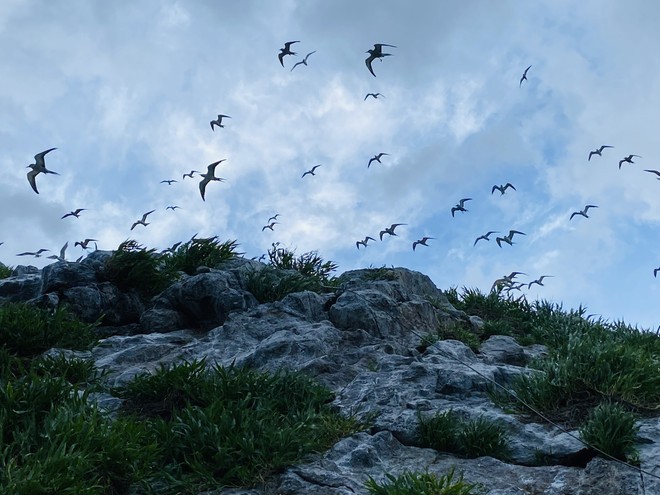 Bà Rịa-Vũng Tàu: Du lịch sinh thái gắn với bảo vệ môi trường ảnh 1