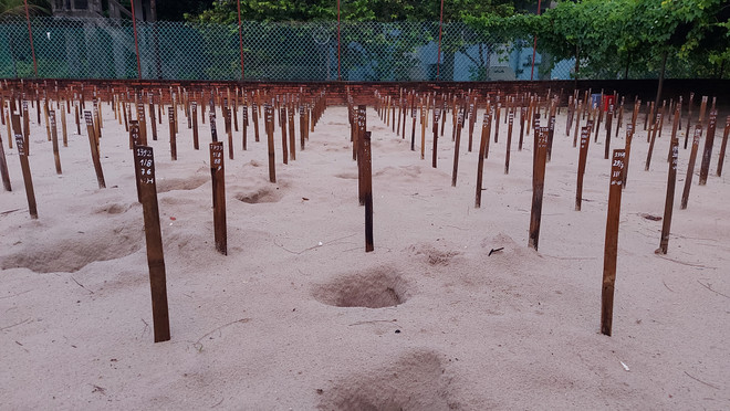 Bà Rịa-Vũng Tàu: Du lịch sinh thái gắn với bảo vệ môi trường ảnh 4