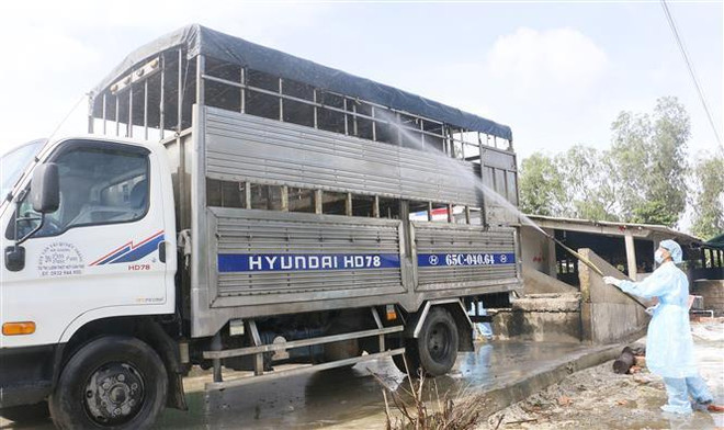 Dịch tả lợn châu Phi vẫn tiếp tục diễn biến phức tạp và lan rộng ảnh 2