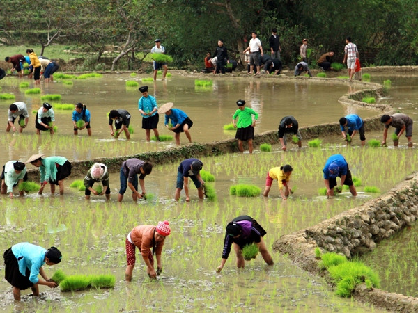 Hội thảo phát triển kinh tế Hà Giang trong mối liên kết vùng Đông-Tây ảnh 1