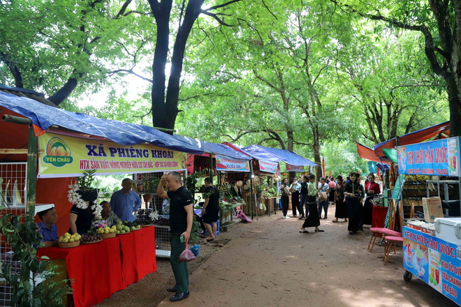 ttxvn_xoai yen chau (1).jpg