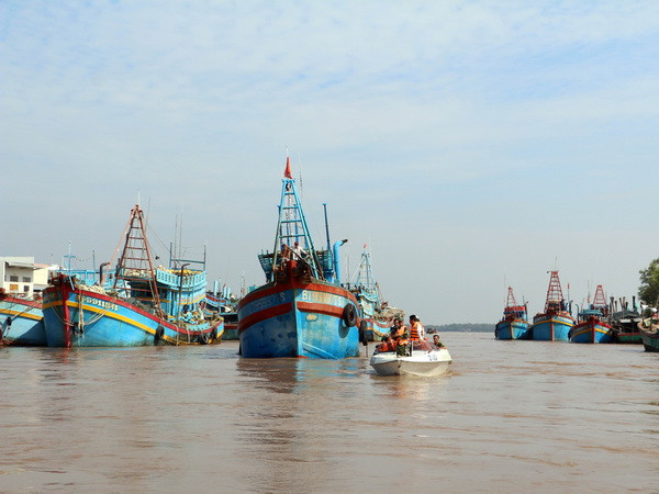 Khẩn trương di dời hàng nghìn người dân để tránh bão số 16 ảnh 1