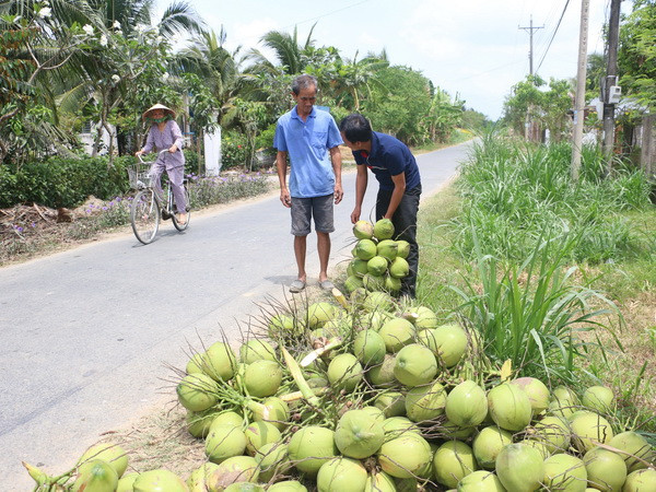 Từ ngày 10/6 nắng nóng ở Bắc Bộ và Trung Bộ giảm dần ảnh 1