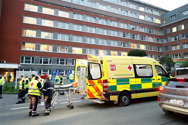 Du học sinh Việt tại châu Âu trong những ngày thử thách ảnh 2