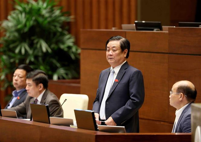 Bộ NN&PTNT: Ùn ứ nông sản tại cửa khẩu chỉ là vấn đề đột biến ảnh 1