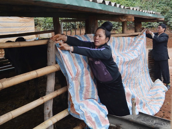 Không khí lạnh tăng mạnh, Bắc Bộ rét đậm, vùng núi dưới 13 độ C ảnh 1