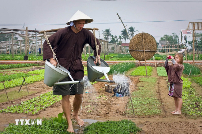 Toeristen ervaren het water geven van groenten in het groentedorp Tra Que, Hoi An, provincie Quang Nam. (Foto: VNA) ttxvn-1511-lang-rau-tra-que-2-3917.jpg