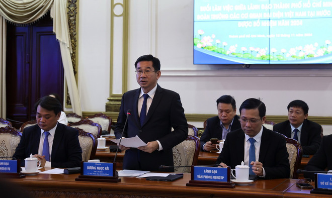 TTXVN_1511 TP Ho Chi Minh Dai su Viet Nam 2.jpg