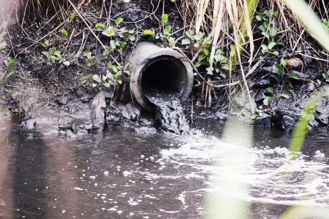 Bài 4: Chính quyền bao che cho ‘thiên đường than lậu’ vô tư tồn tại? ảnh 5