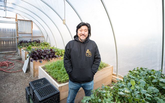 Vì sao con người sử dụng sữa bò, dê mà không dùng sữa lợn? ảnh 2