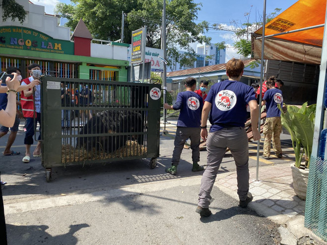 Cứu hộ 9 cá thể gấu ở Bình Dương: Tín hiệu khởi sắc cho nỗ lực bảo tồn ảnh 1