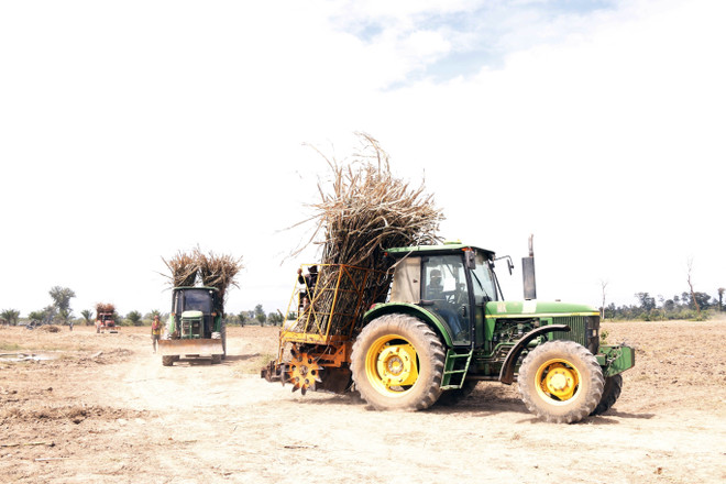 Công ty Việt Nam tại Lào gắn kết tình hữu nghị hai đất nước ảnh 2