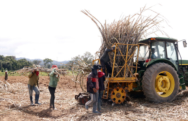 Công ty Việt Nam tại Lào gắn kết tình hữu nghị hai đất nước ảnh 3