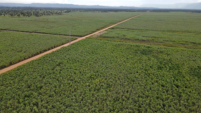 Công ty Việt Nam tại Lào gắn kết tình hữu nghị hai đất nước ảnh 1