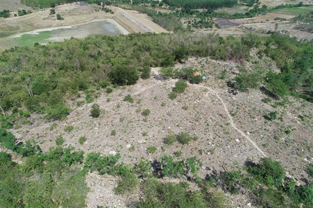 Chuyển mục đích sử dụng đất để thực hiện Dự án Cụm CN Gia Thuận ảnh 1