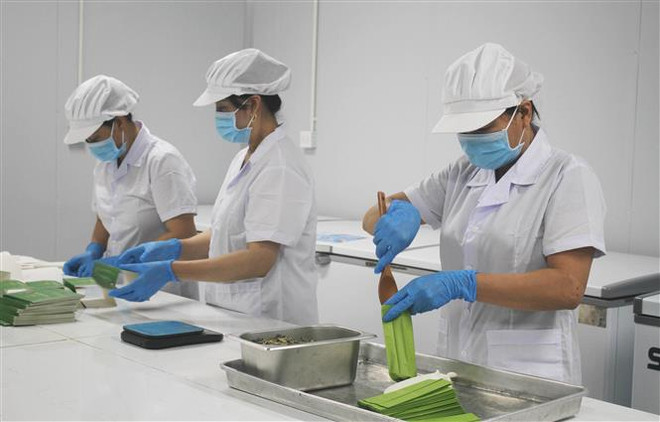 Chàng trai 8x và quy trình sản xuất giấy giấy độc đáo từ đài sen ảnh 3