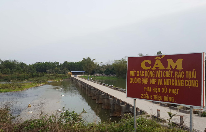 Thái Nguyên: Gia cầm chết vứt ngổn ngang gây ô nhiễm nghiêm trọng ảnh 1