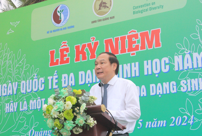Thứ trưởng Bộ Tài nguyên và Môi trường Lê Công Thành phát biểu tại Lễ kỷ niệm Ngày Quốc tế đa dạng sinh học năm 2024. (Ảnh: PV/Vietnam+) vnp_le cong thanh.PNG